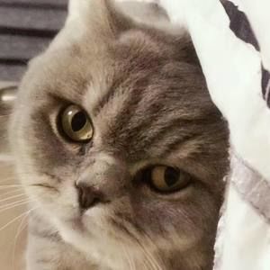 Meet your Posher, Vicky